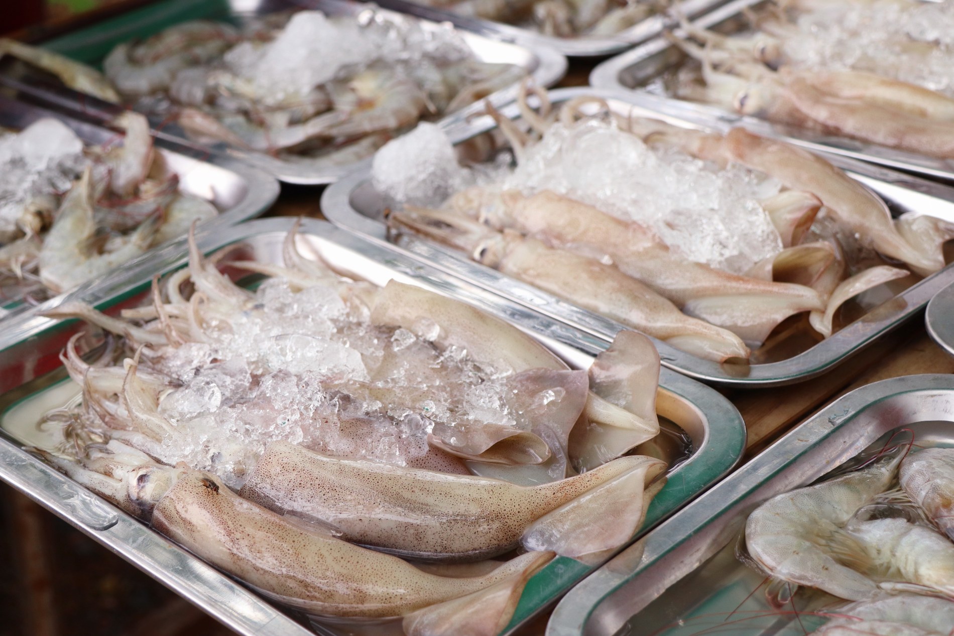Poissonnerie Poissonnerie