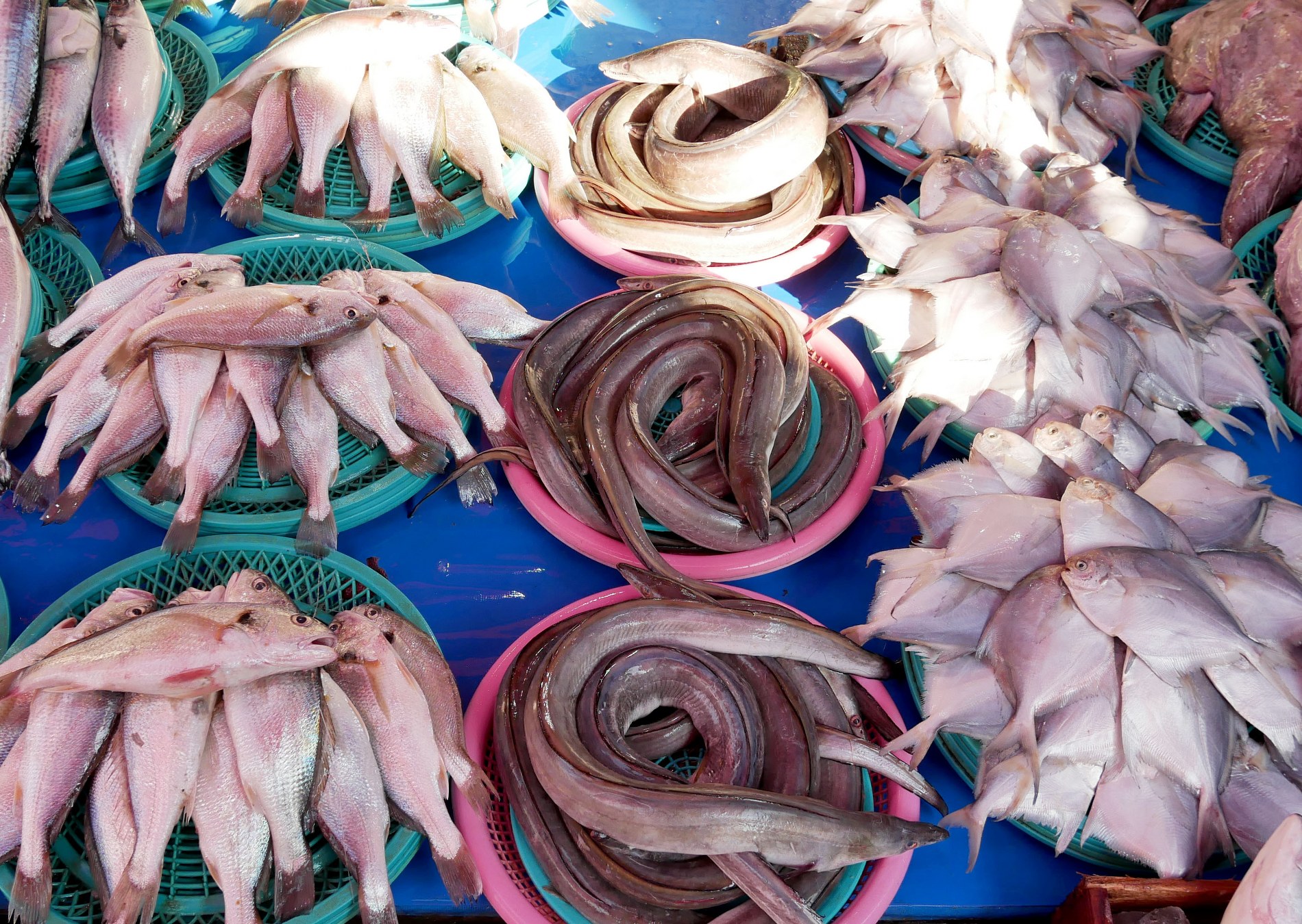 Vente de poissons, crustacés, plats cuisinés et plateaux de fruits de mer Vente de poissons, crustacés, plats cuisinés et plateaux de fruits de mer